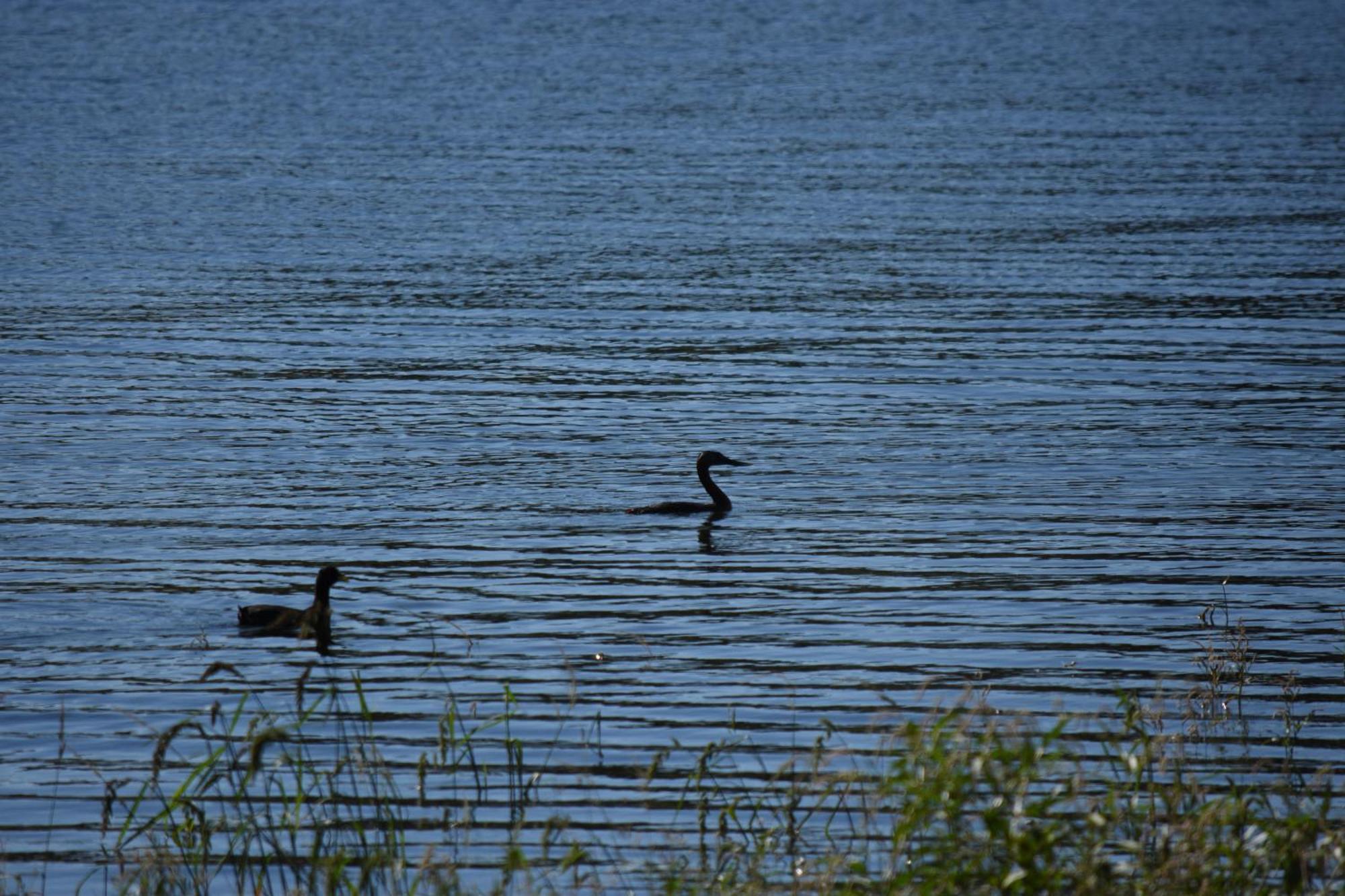 Peperina Lago Los Molinos Вила Сиудад де Америка Екстериор снимка